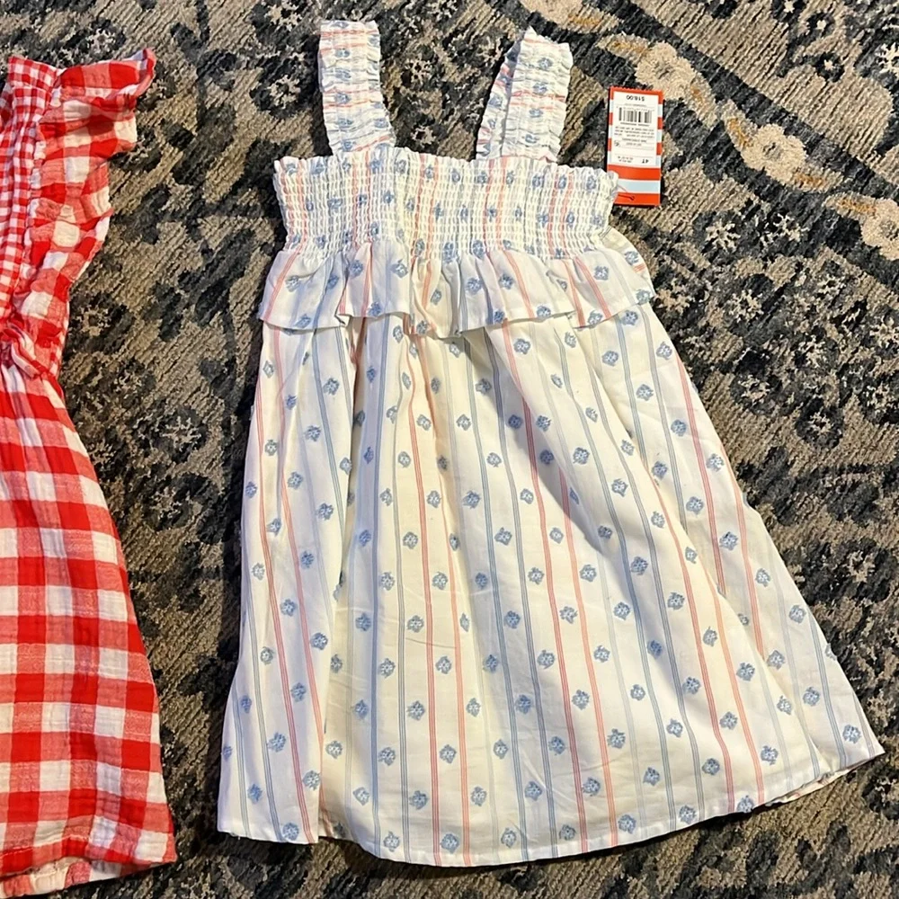 Two Cat and Jack Target dresses 4t - Picture 3 of 5